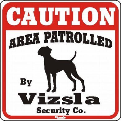 Raining Cats and Dogs | Vizsla Caution Sign
