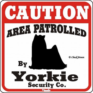 Raining Cats and Dogs | Yorkshire Terrier Caution Sign