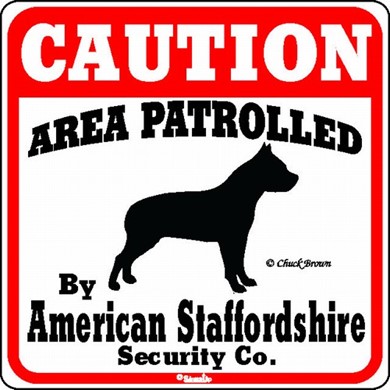 Raining Cats and Dogs | American Staffordshire Terrier Caution Sign