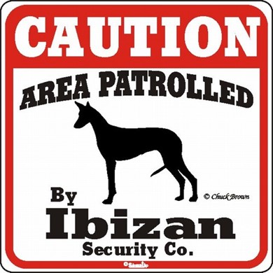 Raining Cats and Dogs | Ibizan Hound Caution Sign