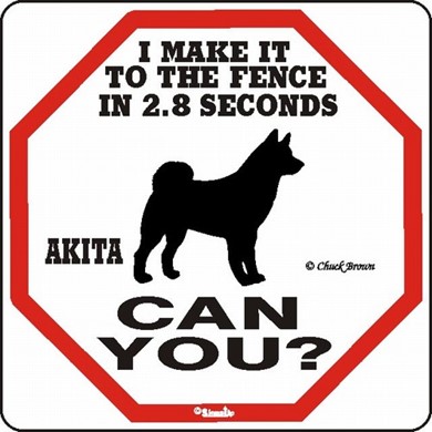 Raining Cats and Dogs | Akita Make It to the Fence in 2.8 Seconds Dog Sign