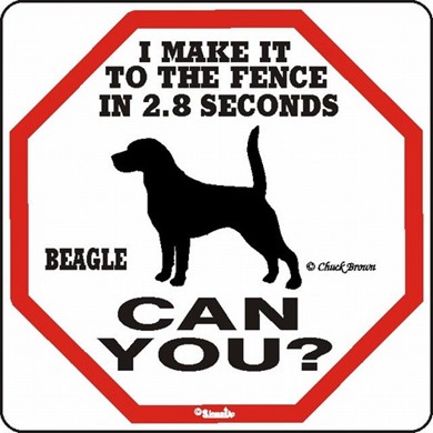Raining Cats and Dogs | Beagle Make It to the Fence Sign, the Perfect Bewared of Dog Sign