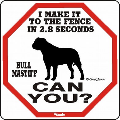 Raining Cats and Dogs | Bullmastiff Make It to the Fence in 2.8 Seconds Sign