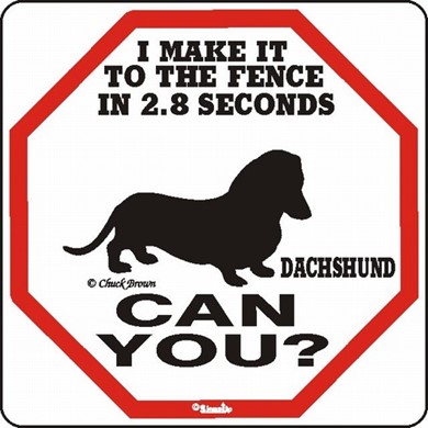 Raining Cats and Dogs | Dachshund Make It to the Fence in 2.8 Seconds Sign