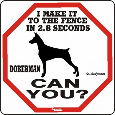 Raining Cats and Dogs |  Doberman Make It to the Fence in 2.8 Seconds Sign
