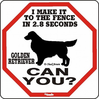 Raining Cats and Dogs | Golden Retriever Make It to the Fence in 2.8 Seconds Sign