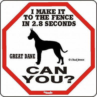 Raining Cats and Dogs | Great Dane Make It to the Fence in 2.8 Seconds Sign