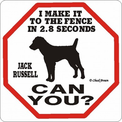 Raining Cats and Dogs | Jack Russell Make It to the Fence in 2.8 Seconds Sign