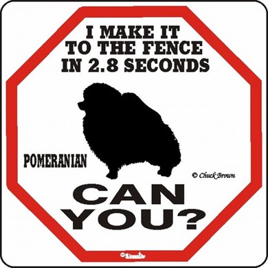 Raining Cats and Dogs | Pomeranian Make It to the Fence in 2.8 Seconds Sign