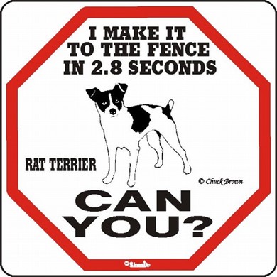 Raining Cats and Dogs | Rat Terrier Make It to the Fence in 2.8 Seconds Sign
