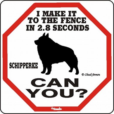 Raining Cats and Dogs | Schipperke Make It to the Fence in 2.8 Seconds Sign