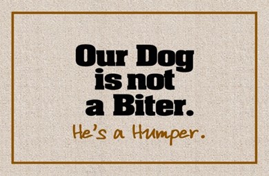 Raining Cats and Dogs | Dog Not a Biter Mat
