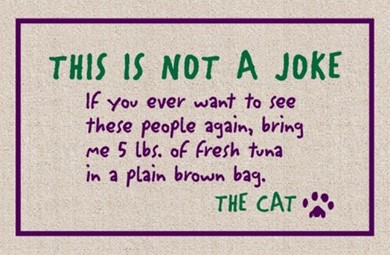 Raining Cats and Dogs | Not a Joke Cat Mat