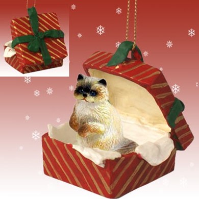 Raining Cats and Dogs | Ragdoll Cat Gift Box Christmas Ornament