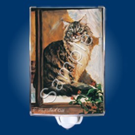 Raining Cats and Dogs | Maine Coon Night Lights