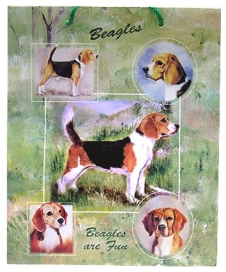 Raining Cats and Dogs | Beagle Gift Bag