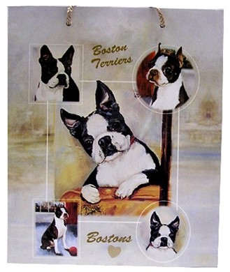 Raining Cats and Dogs | Boston Terrier Gift Bag