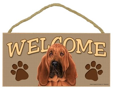 Raining Cats and Dogs | Bloodhound Welcome Sign, a Terrific Dog Breed Gift