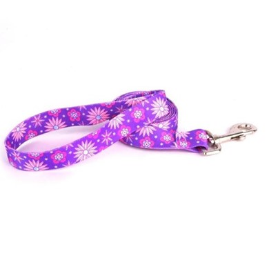 Raining Cats and Dogs | Flowers Leash