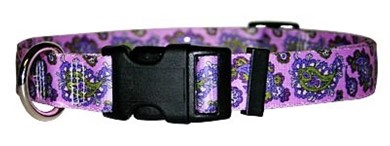 Raining Cats and Dogs | Paisley Collar