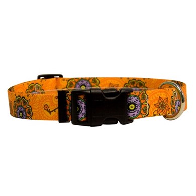 Raining Cats and Dogs | Folk Flowers Collar