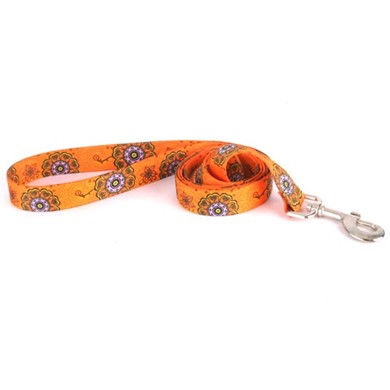 Raining Cats and Dogs | Folk Flowers Leash