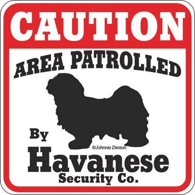 Raining Cats and Dogs | Havanese Caution Sign