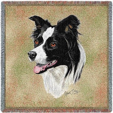 Raining Cats and Dogs | Border Collie Throw