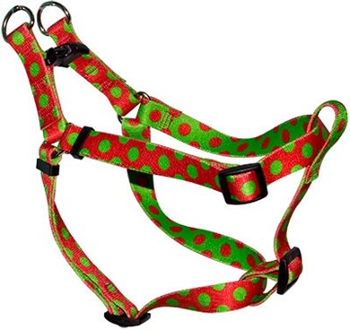 Raining Cats and Dogs | Holiday Polka Dot Step-In Harness