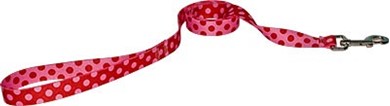 Raining Cats and Dogs | Valentine Polka Leash, Made in the USA
