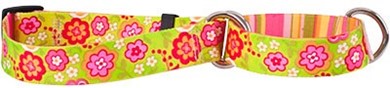 Raining Cats and Dogs | Green Bouquet Martingale Collar
