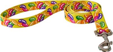 Raining Cats and Dogs | Jelly Bean Leash, an Easter Theme Leash