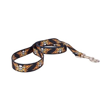 Raining Cats and Dogs | Flaming Skulls Leash