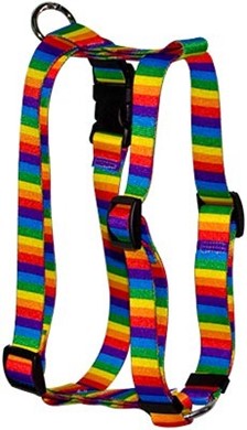 Raining Cats and Dogs | Rainbow Stripes Harness