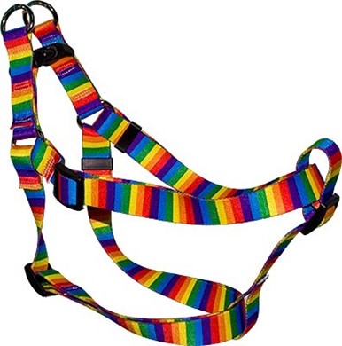 Raining Cats and Dogs | Rainbow Stripes Step-In Harness