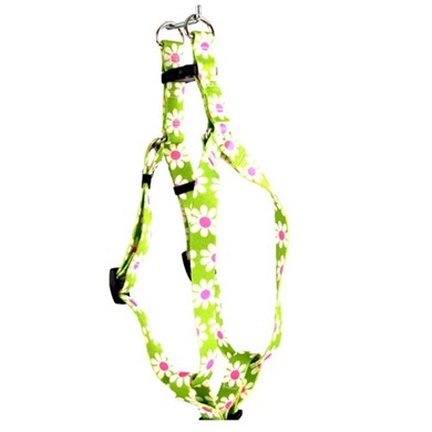 Raining Cats and Dogs | Green Daisy Step-In Harness