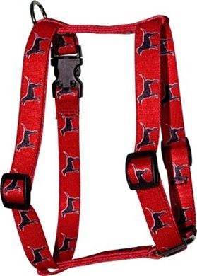 Raining Cats and Dogs | Black Labs Harness
