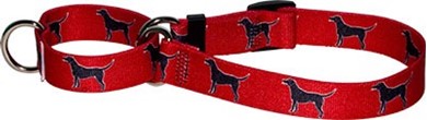 Raining Cats and Dogs | Black Labs Martingale Collar