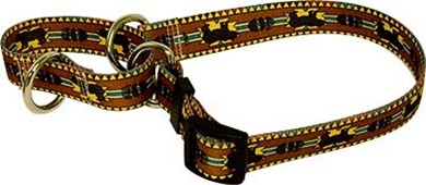 Raining Cats and Dogs | Bear Lodge Martingale Collar