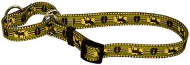 Raining Cats and Dogs | Moose Lodge Martingale Collar