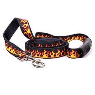 Raining Cats and Dogs | Uptown Red Flames Leash