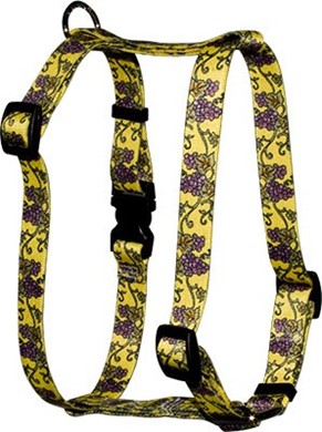 Raining Cats and Dogs | Grapevine Harness
