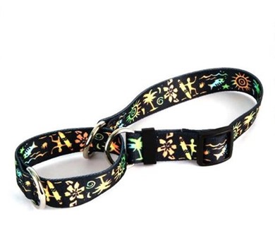 Raining Cats and Dogs | Primitive Surfer Martingale Collar