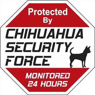 Raining Cats and Dogs | Chihuahua Security Force Sign