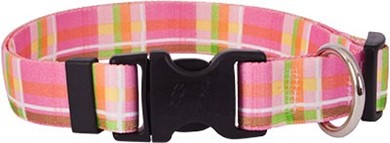 Raining Cats and Dogs | Pink Madras Collar Size Teacup Now 50% Off
