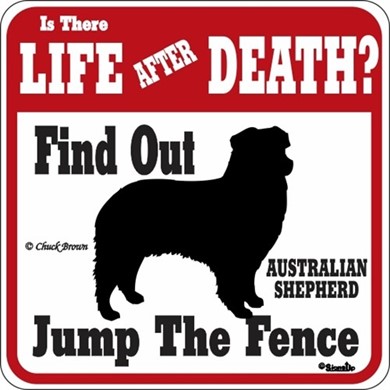 Raining Cats and Dogs | Australian Shepherd Jump the Fence Sign