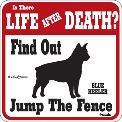 Raining Cats and Dogs | Blue Heeler Jump the Fence Sign