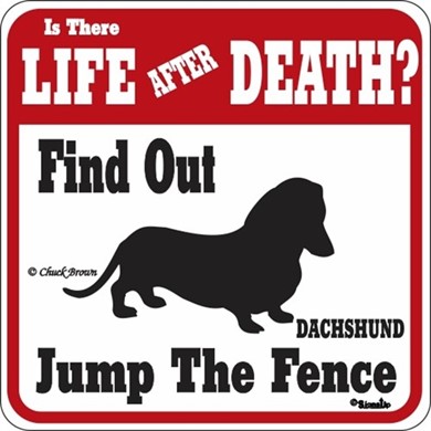 Raining Cats and Dogs | Dachshund Jump the Fence Sign