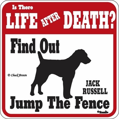 Raining Cats and Dogs | Jack Russell Jump the Fence Sign