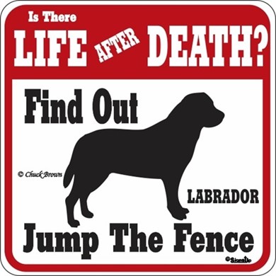 Raining Cats and Dogs | Labrador Retriever Jump the Fence Sign
